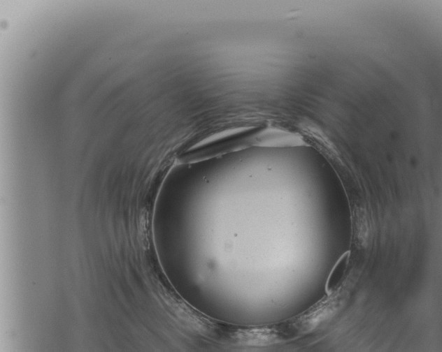 X0000068830378200605121347