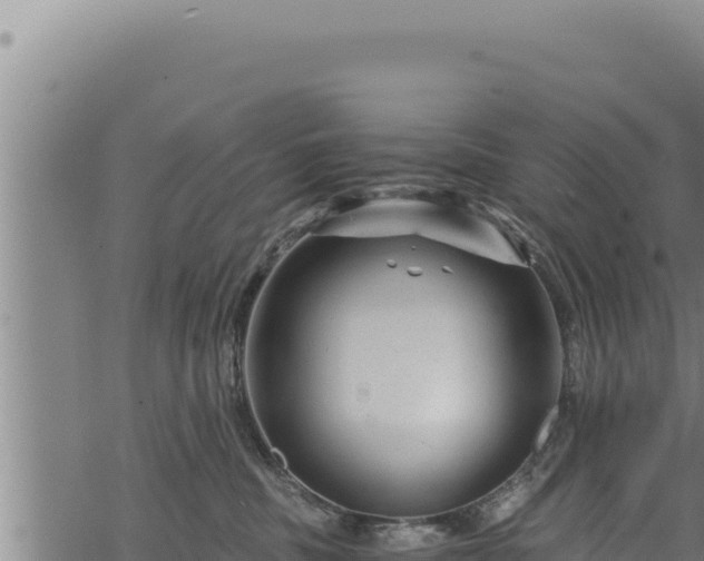 X0000068830379200605121347