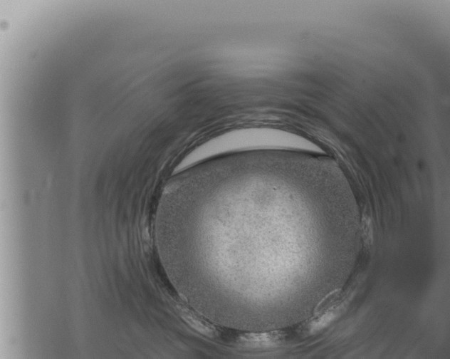 X0000068830381200605121347