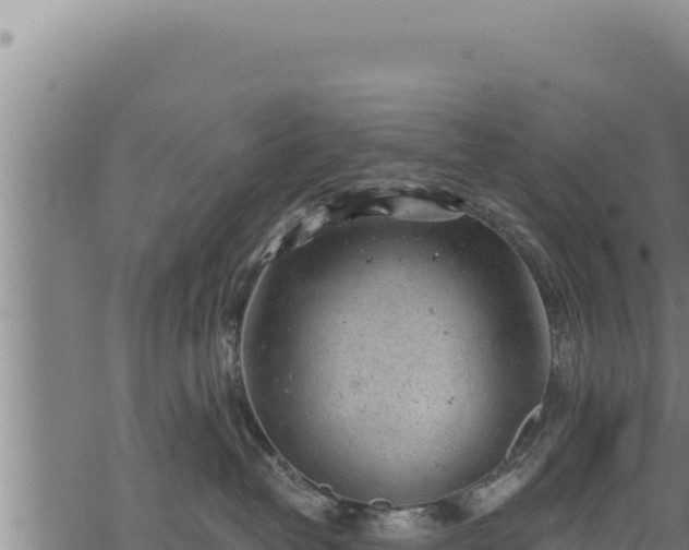 X0000068830382200605121347