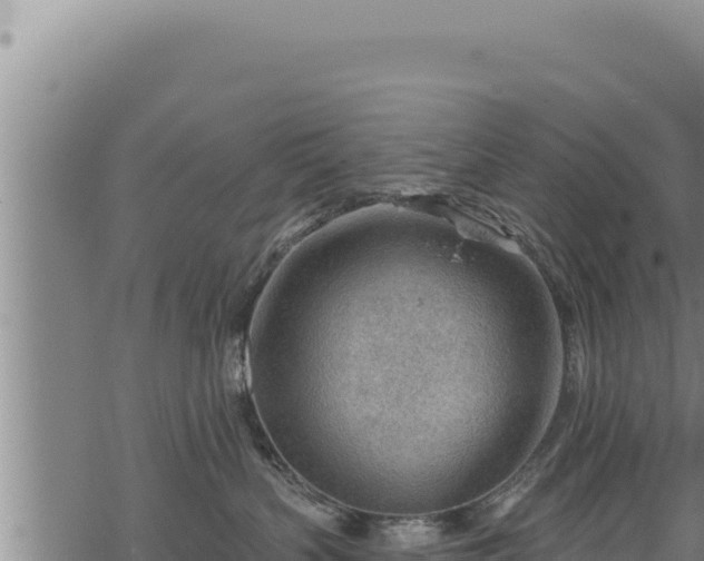 X0000068830383200605121347