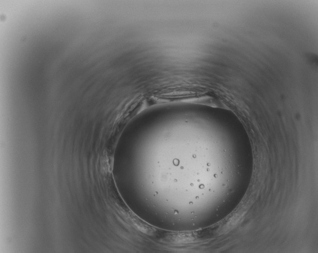 X0000068830384200605121347