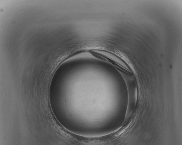 X0000068830385200605121346