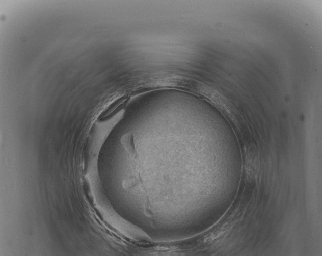 X0000068830386200605121346