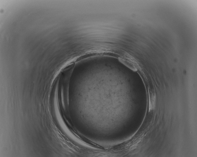 X0000068830387200605121346