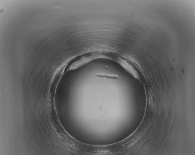 X0000068830388200605121346