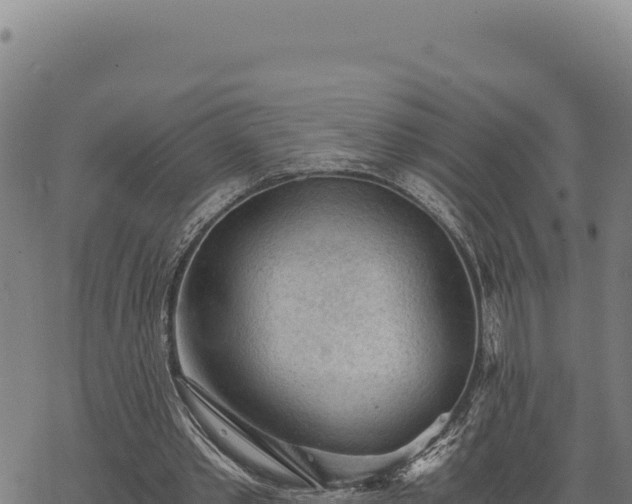 X0000068830389200605121346