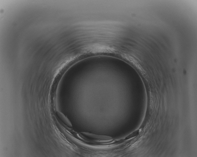 X0000068830391200605121346