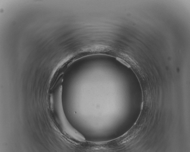 X0000068830392200605121346