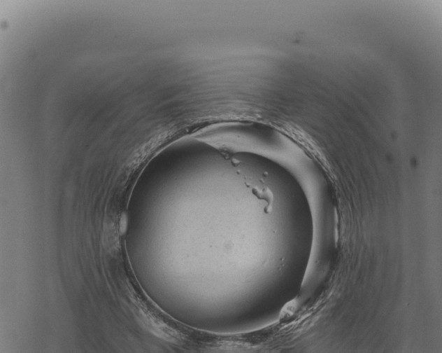 X0000068830393200605121346