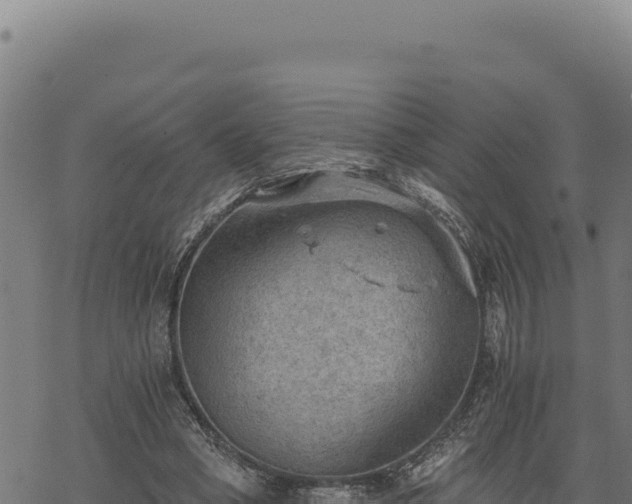 X0000068830394200605121346