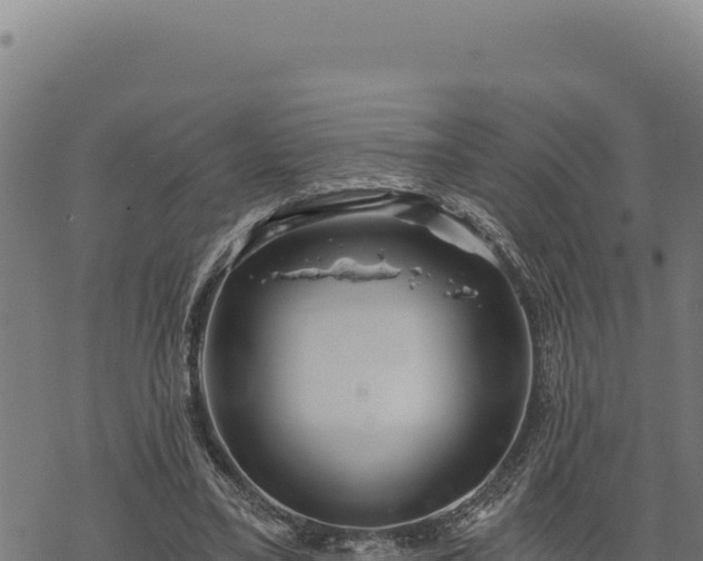 X0000068830395200605121346