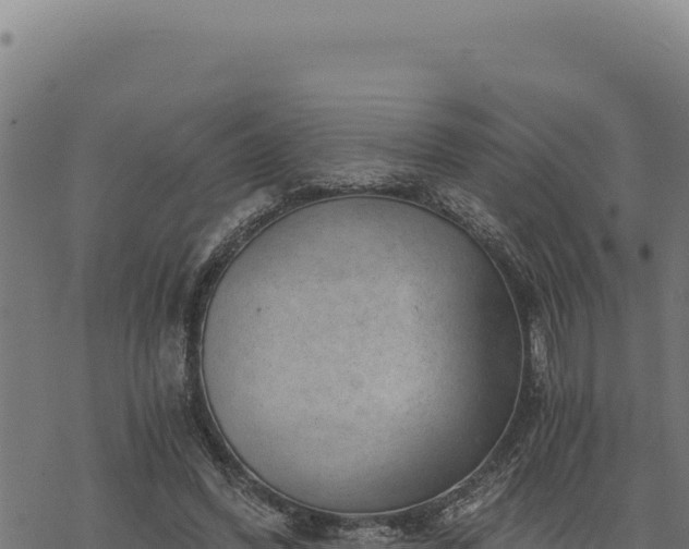 X0000068830396200605121346