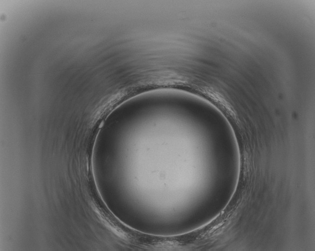 X0000068830397200605121346