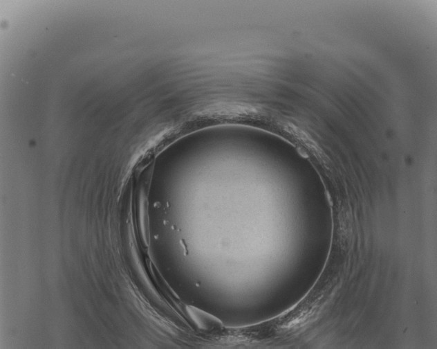 X0000068830399200605121346