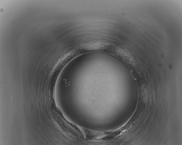 X0000068830400200605121346