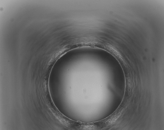 X0000068830401200605121346