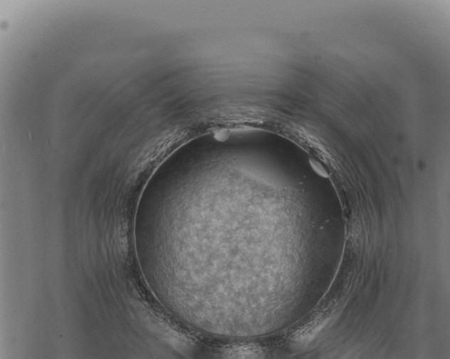 X0000068830402200605121346