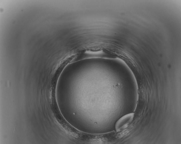 X0000068830404200605121346