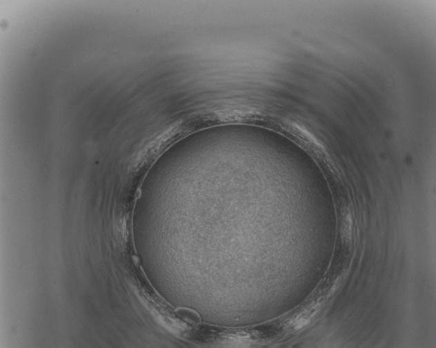 X0000068830405200605121346