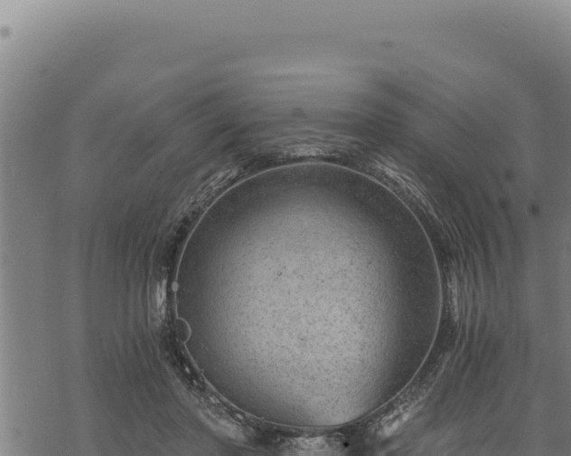 X0000068830406200605121346