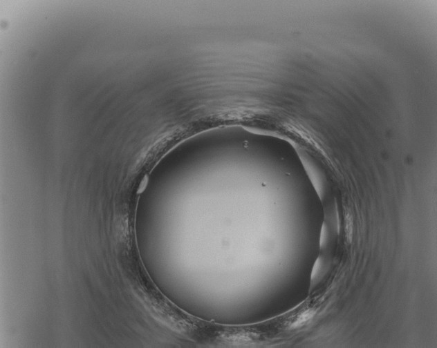 X0000068830407200605121346