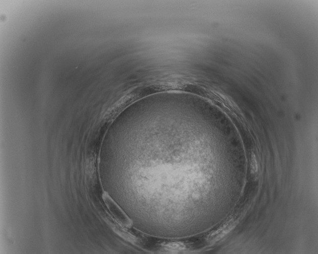 X0000068830409200605121346