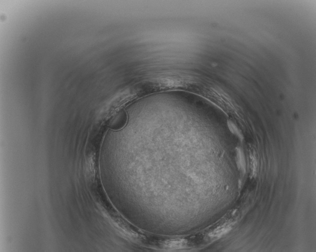 X0000068830410200605121346