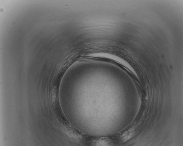 X0000068830412200605121346