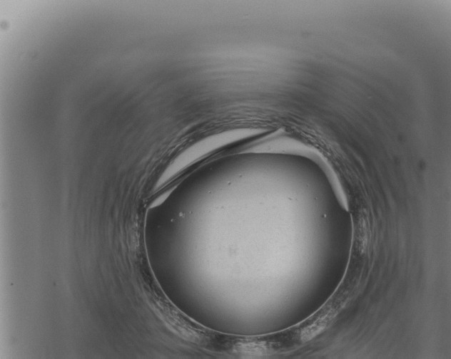 X0000068830413200605121346