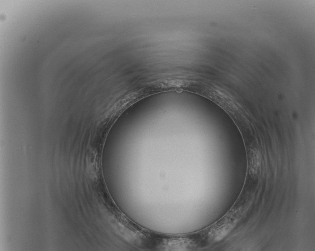 X0000068830414200605121346