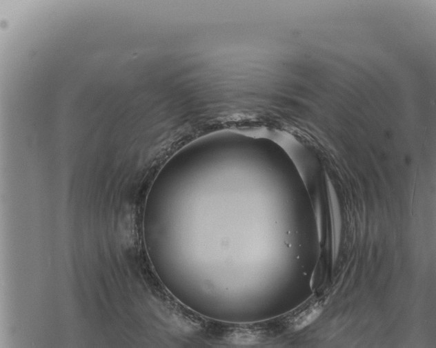 X0000068830416200605121346