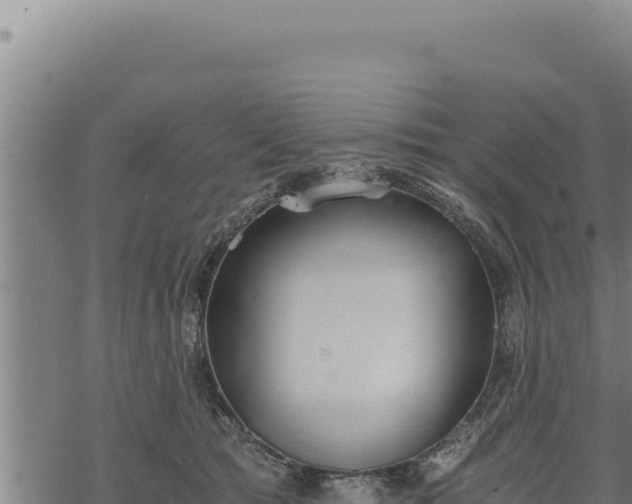 X0000068830417200605121346