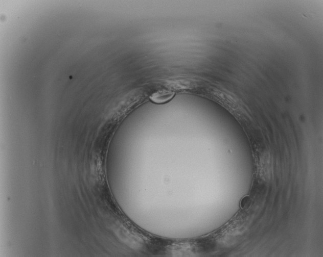 X0000068830418200605121346