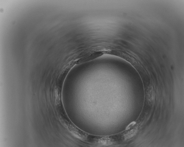 X0000068830420200605121346