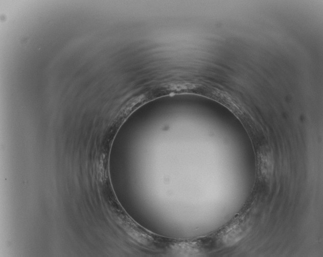 X0000068830422200605121346