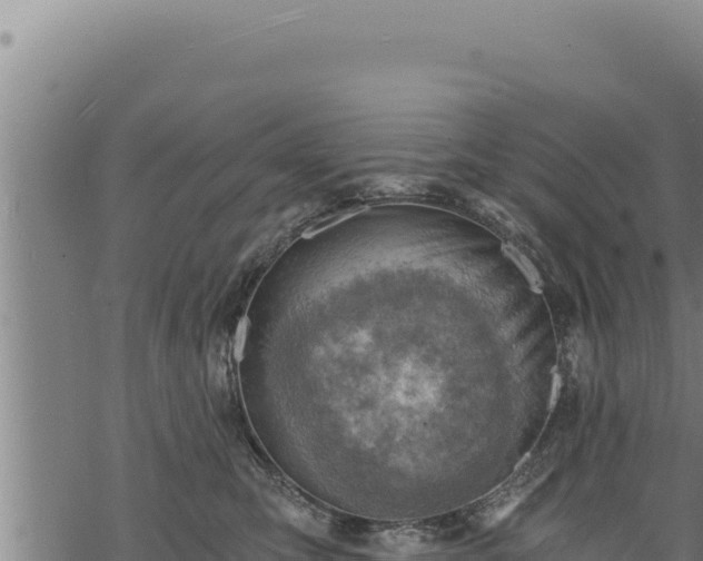 X0000068830423200605121346