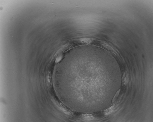 X0000068830424200605121346