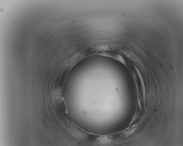 X0000068830425200605121346