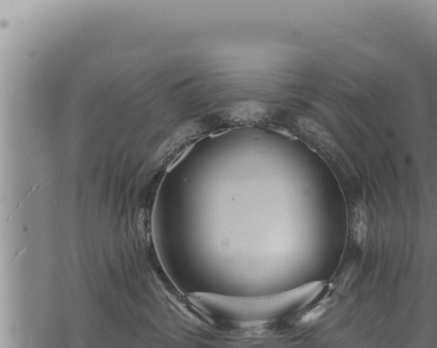 X0000068830428200605121346