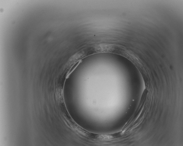 X0000068830429200605121346