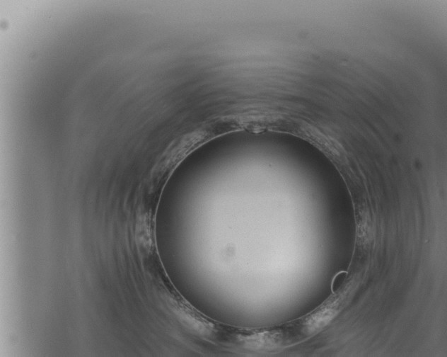 X0000068830430200605121346