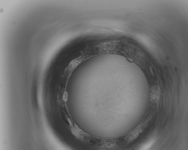 X0000068830431200605121346