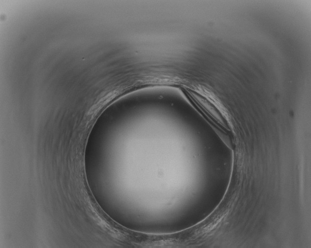 X0000068830433200605121345