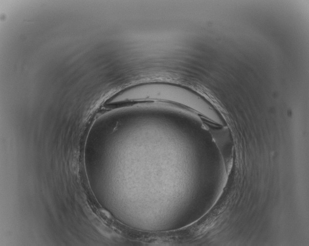 X0000068830434200605121345