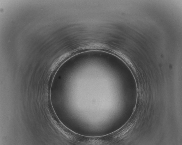 X0000068830437200605121345