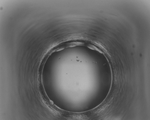 X0000068830439200605121345