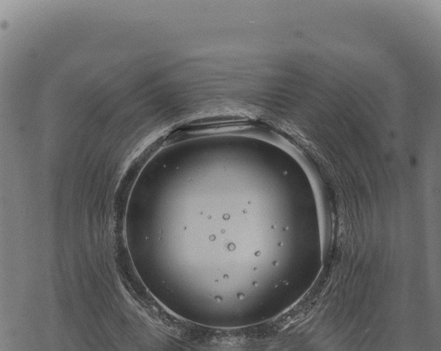 X0000068830440200605121345