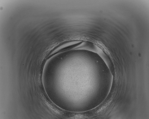 X0000068830441200605121345