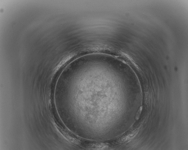 X0000068830443200605121345